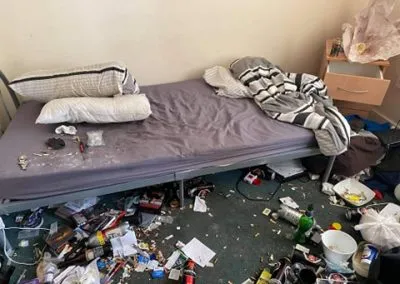 environmental cleaning